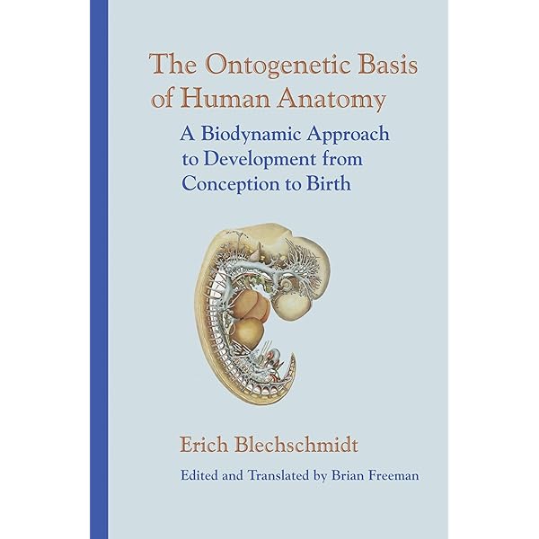 Biokinetics and Biodynamics of Human Differentiation: Principles