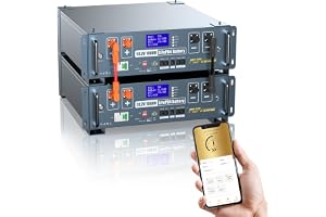 48V 200AH Lithium LiFePO4 Battery(2 Pack),Wifi/Bluetooth, Auto Fire Suppression,Built-in 100A BMS, 10240Wh Server Rack Batter