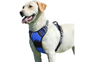 Eagloo Pettorina Cane Taglia Grande, Pettorina ad h, Pettorina Antifuga Cane, Pettorina Anti Tiro per Cani con Doppio Gancio, Imbracatura Robusto e Regolabile per Addestramento Passeggiate, L, Blu