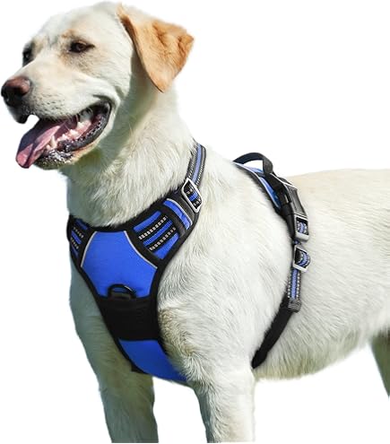 HALTI Anatomy Hondenharnas met handgreep, biedt je hond bewegingsvrijheid voor een comfortabele wandeling. 3 bevestigingspunten, verstelbaar en reflecterend (maat L, groen