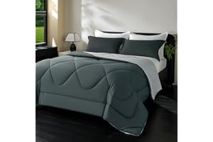 beeweed Edredón Relleno Nórdico 240x220 cm para Cama 150/160, Reversible Edredón de Fibra Oeko-Tex. 300gr/m² en 100% Suave Microfibra, con 2 Fundas Almohada