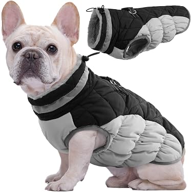 Amazon.de Bestseller: Die beliebtesten Artikel in Winterjacken &  Wintermntel fr Hunde