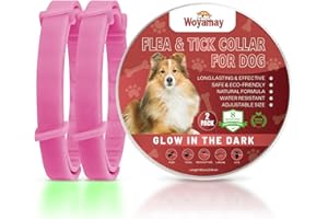 Woyamay Collare Antiparassitario per Cani, Luminoso Collare Antipulci Cane, 8 Mesi di Protezione, Regolabile Impermeabile Collari Antiparassitari per Cani Per Tutte Le Taglie Rosa Caldo, 2 Pezzi