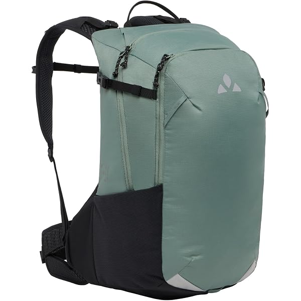 Zaino con protezione Evoc FR TRAIL E-RIDE 20 Litri, Colore Lilla, Taglia M/L