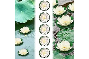 EMAGEREN Fleurs Flottantes Lot de 5 Nénuphar Artificiel Blanc Lotus NymphéAs Artificiels Ornement Flottant Fleur de Lotus Mousse Flottante Plantes pour piscines, Aquariums, scènes de ruisseau
