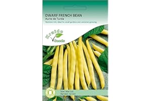 KRAIDO SEEDS Kraido Yellow Dwarf French Bean Seeds Aurie de Turda Phaseolus Vulgaris 50 Seeds Grow Your Own Vegetables Perfect for Outdoor Growing in Raised Beds or Larger Pots and Containers