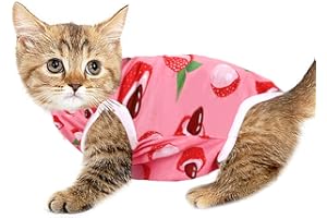 VALICAER Professioneller Katzen-Genesungsanzug für Bauchwunden und Hauterkrankungen Cat Chirurgischer Erholungsanzug E-Halsband-Alternative für Katzen Atmungsaktiv Regenerationsanzug für Anti Licking (M)