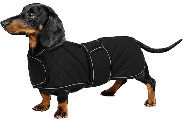 Geyecete-Manteau Chaud imperméable pour Teckel,Réglables Veste d'hiver pour Chien avec Doublure en polaire,Vêtement pour petit moyen chien-Noir-S