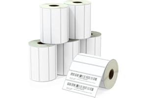 BETCKEY - 102mm x 25mm(4 in x 1 in) Perforadas Etiquetas Térmicas Polivalentes Compatible con impresoras Zebra y otras [6 Rollen/8250 Etiquetas]