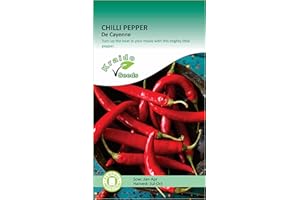KRAIDO SEEDS Chilli Spicy Hot Pepper Seeds Cayenne 50 Seeds Capsicum Annuum Grow Your Own Vegetable Ideal for Greenhouse or Garden Growing in Raised Beds Polytunnel Growbag or in Large Pots and Containers