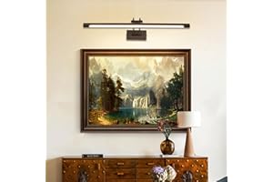 TYhogar LED Espejo Baño 60cm 15W, 3 Temperaturas de Color Regulable + Sin Escala Regulable LED Luz de Cuadro con Cabeza de Lámpara Giratoria, Luz de Pared de Arco Lámpara de Iluminación de Espejo