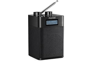 Mycket Dab/Dab+ Radio numérique et FM, Radio intégrée alimentée par Batterie 2200 mAh, Radio Dab Portable, Radio Rechargeable avec Disque Bluetooth/U, 80 Stations préréglées, entrée Casque, écran LED