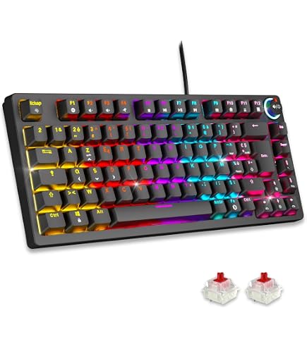 Clavier Mécanique Gamer DREVO Tyrfing V2 Tenkeyless (87 Touches) - RGB Rétro USB - Noir
