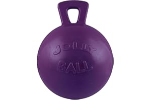 HORSEMEN'S PRIDE Horsemens Pride Inc. Horsemen Stolz Jolly Ball - 10" Purple - Purple Clear, Unisex, HMP0010