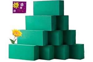 BEKABA 10 Esponjas Florales Naturales con conservante para flor cortada- Caja de 10 Espumas Unidades (1 unidad - 23x11x8) - Herramienta Esencial para Arreglos Florales