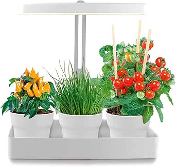 Northpoint LED Pflanzenleuchte Kr&auml;utergarten Innengarten Gew&auml;chslampe 22W 1350 Lumen 10 Setzlinge H&ouml;henverstellbar Wasserstandsanzeige Timer