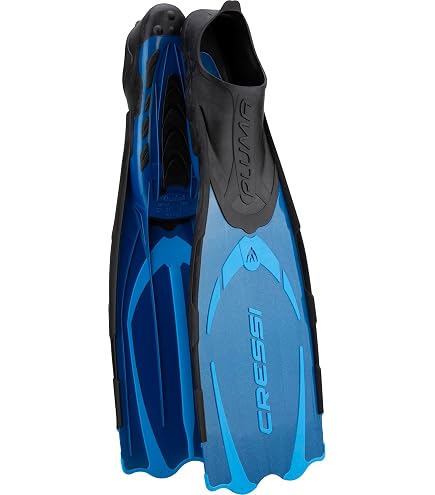 Aqua Lung Apeks RK3 HD Palme de plongée Noir Taille M