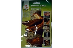 Portal Cool Nails micelio (1 Busta dal 20 Nails) Shii - Prendere (Lentinus Edodes)