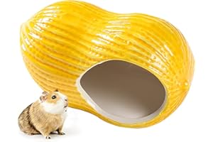 GUADOR Nascondiglio per Criceti Ceramica Hamster Hideout Casa di Fungo Casa per Criceti e Habitat Letto Criceti Nani Tutte Le Stagioni Topi Gerbilli (Arachidi)