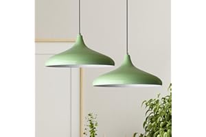 ‎BAMYUM bamyum Champion Pendelleuchte Esstisch 2 Flammig Metall Ø30cm, Hängelampe Esstisch Vintage, Esstischlampe, Lampenschirm Hängelampe, Pendelleuchte Esstisch, Hängeleuchte Wohnzimmer Esszimmerlampe Minze