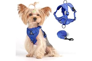 SKMEDITEC Weste Geschirr Leinen Set für kleine Hunde große Katzen, Ausbruchsicher Verstellbare Jacke mit Leine für Dicke Katzen, Die im Freien Spazieren Gehen, Weicher Netzmantel mit Reflektorstreifen, XL Blau