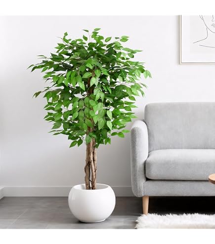 Künstliche Schefflera-Pflanze Im Topf – Täuschend Echt, Pflegeleicht & Dekorativ | Ideal Für Wohnung, Büro Oder Events