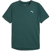 PUMA RUN VELOCITY TEE TRI-BLEND Tiş&ouml;rt Kadın