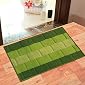 Status Polypropylene Anti Slip Floor Door Mat in Home Kitchen Office Entrance Mats (38x58 cm, Green) -Pack of 1