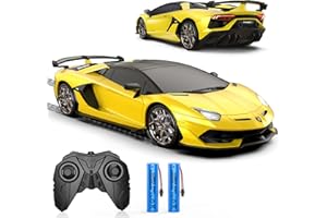 AEROQUEST 1:16 Lamborghini Remote Control Car,2.4GHz Officially Licensed Lamborghini Model RC Toy Car for Boys Girls Birthday Gift