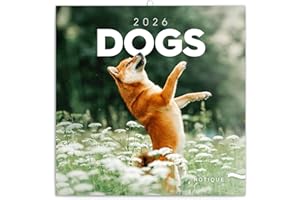 NOTIQUE Calendrier mural 2026 - Motif chiens - Avec brochures mensuelles - 30 x 30 cm (30 x 60 cm) ouvert