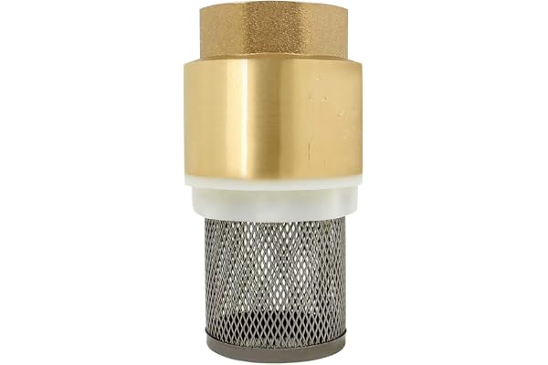 Clapet crepine anti retour 1/2 3/4 1 1-1/4 1-1/2 2- 3 pouce - vanne non retour clapet pompe (1/2 pouce)