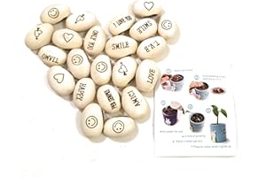 J & J Pack de 20 graines haricots magiques idée cadeau magie récurrence événement de curiosité idée cadeau maison bingo noël