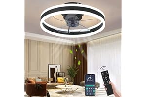 Wildcat Ceiling Fan with Lighting, Quiet Modern LED with Remote Control Timer Fan Ceiling Light Fan Light for Living Room Bedroom Dining Room (Color : Black, Size : 50 cm)