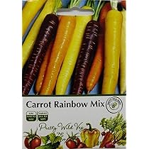 PREMIER SEEDS DIRECT - Purple Haze F1 Carrot Seeds, Approx