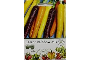 Carrot Rainbow Seed Mix in Pictorial Packet - 500 Seeds - Bright Colours - Orange, White, Purple, Red - Packed in The UK by Pretty Wild Seeds