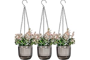 JOSTEVE 4.5 Inch 3 Pcs Self Watering Hanging Planter Indoor Plant Hanging Pots with Drainage Holes, Outdoor Small Hanging Planters Flower Pot Basket, Visible Water Level, Plant Hanger Home Decor, Gardening