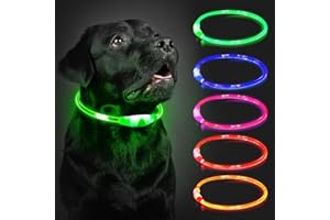 COCODONUT Light Up Dog Collar Rechargeable, LED Collar Waterproof with 3 Flash Glowing Modes, Dog Light for Outdoor Night Walking Visible Safe, Cut to Adjust for Small Medium Large Breed, 70cm, Green
