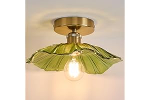 Dellemade Chandelier, Flush Mount Ceiling Light, Clear Glass Shade Light Fixture, 1 Light Lighting Fixture for Bedroom,Dining Room,Kitchen, Hallway (Green)