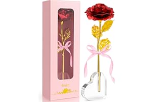 Asddage Geschenke für Frauen Ewige Rose mit Herzförmige Basis Geschenke für Sie Mutter Freundin Frau Oma, Goldene Rose Geschenk für Geburtstag Weihnachten Muttertag Valentinstag Jahrestag (Rot)