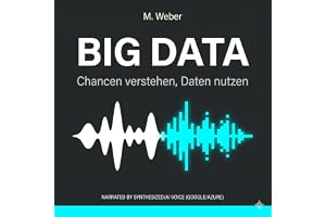 Big Data – Chancen verstehen, Daten nutzen: Dein praxisnaher Leitfaden für datengetriebene Entscheidungen
