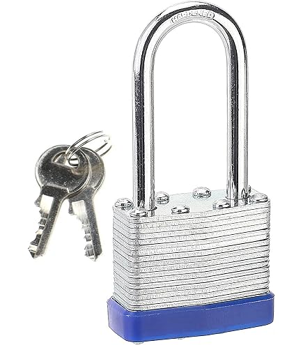 BinSafe - Cassetta Per Bidoni | 2 Bidoni | Resistente Alle Intemperie Con Lucchetto In Acciaio Galvanizzato