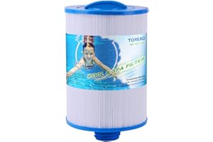 TOREAD 6CH-940, Pleatco PWW50P3 (Pas PWW50P4), Filbur FC-0359, Skimmer avec accès Avant Waterway 50 SF, 817-0050, 25252, 03FIL1400 - Filtre à Filetage SAE