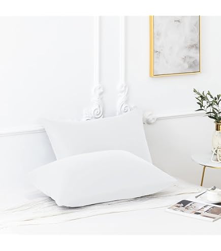 Protège-oreillers Imperméables Twillie Lot De 2 - 60x60 Cm Hypoallergéniques