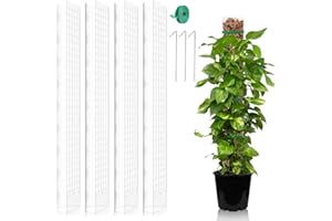 FAELNK Monstera Rankhilfe 4 Stück 24 Zoll Moosstab Pflanzen Moosstangen Set Rankhilfe Zimmerpflanze Moss Pole aus Kunststoff Erweiterbar DIY Moosstab für Monstera Weiß