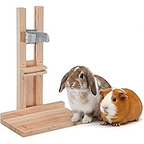 BingoPaw Acrylic box for small animals indoor: 6-piece indoor outdoor enclosure with waterproof base plates, small animal hutch for rabbits, guinea pigs, hares, hamsters, hedgehogs, 124 x 63 x 40 cm