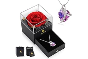 LEITON Ewige Rose mit Kristall Halskette, Infinity Rosen Box, Echte Rose Geschenkset Geschenke für Frauen, Konservierte Rose für Valentinstag Muttertag Hochzeit Jahrestag Geburtstag Geschenk für Sie