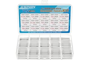 AUKENIEN 6X30MM Fusible Ceramique Fusion Lente Kit 15 Valeurs 0,5A 1A 1,6A 2A 2,5A 3A 3,15A 4A 5A 6,3A 8A 10A 12A 15A 20A 250V 75 Pièces 6X30 MM 250 Volts Fusibles à Tube en Céramique Temporisé