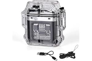 DELAMIYA Briquet électronique, briquet à arc électrique avec indicateur de puissance, étanche et coupe-vent, briquet rechargeable de type C, pour camping, équipement de plein air, randonnée, équipement de