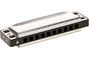 Lee Oskar Major Diatonic Harmonica in A