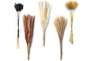 JOCAHULFX 100 pcs Natural Dried Pampas Grass Decoration, Fluffy Pampas Grass Bouquet, Bunny Tails Dried Flowers,Reed Grass Plants, Boho Decor